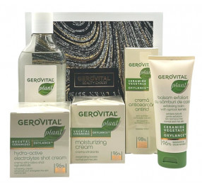 PLANT – GIFT BOX 3 PLANT – GIFT BOX 3