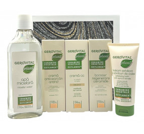 PLANT – GIFT BOX 1 PLANT – GIFT BOX 1