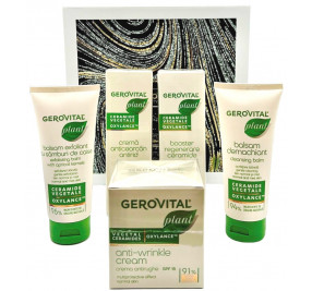 PLANT – GIFT BOX 2 PLANT – GIFT BOX 2
